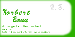 norbert banu business card